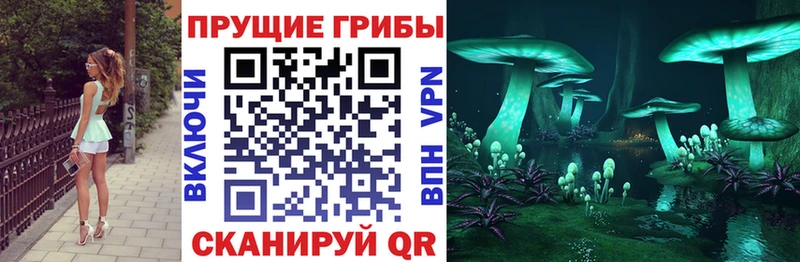 Псилоцибиновые грибы мицелий  цена   Лысьва 